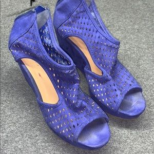 Blue Wedges